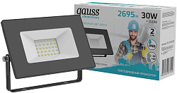 Прожектор уличный Gauss Elementary 613100230 светодиодный 30Втчерный