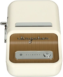 Термопринтер Niimbot B21S (1746728) 203dpi 60мм/с/USB/BT для печ.этик. белый