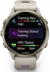 Смарт-часы Garmin Forerunner 970 1.3" AMOLED корп.серый рем.серый/синий (010-02969-12)