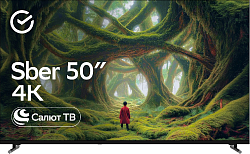 Телевизор LED Sber 50" SDX-50U4139 Салют ТВ Frameless черный 4K Ultra HD 60Hz DVB-T DVB-T2 DVB-C DVB-S DVB-S2 USB WiFi Smart TV