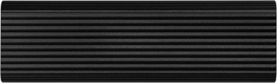Накопитель SSD Patriot USB-C 4TB PTPL4TBPECB Lite Transporter 2.5" черный