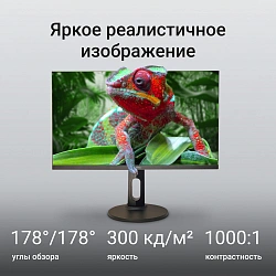 Монитор Digma 27" Progress 27P705Q черный IPS LED 5ms 16:9 HDMI M/M матовая HAS 300cd 178гр/178гр 2560x1440 75Hz FreeSync DP 2K USB 6.1кг