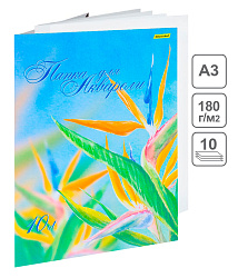 Папка для акварели Silwerhof 914008-54 A3 10л. бум.180г/м2