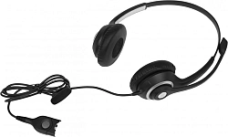 Наушники с микрофоном Epos Sennheiser SC 260 ED черный 1м накладные оголовье (1000515)