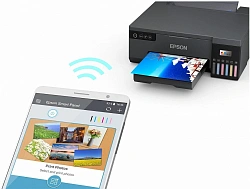 Принтер струйный Epson L8050 (C11CK37405/506/507/504/402) A4 WiFi черный