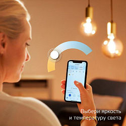 Умная лампа Gauss IoT Smart Home E14 4.5Вт 495lm Wi-Fi (упак.:1шт) (1280112)