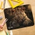 Коврик для мыши Cactus Leopard рисунок 250x200x3мм (CS-MP-D06S) Коврик для мыши Cactus Leopard рисунок 250x200x3мм (CS-MP-D06S)