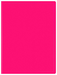 Папка с 10 прозр.вклад. Бюрократ Double Neon DNE07V10PINK A4 пластик 0.7мм розовый