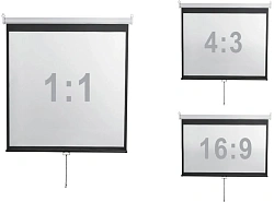 Экран Digis 248x144см Optimal-D DSOD-16905 16:9 настенный рулонный белый