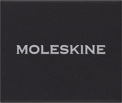 Шильд-символ Moleskine Zodiac Дева металл серебристый коробка с европод. PINVIRGOSILV