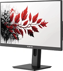 Монитор RDW Computers 27" RDW2701K черный IPS 5ms HDMI M/M матовая 300cd 178гр/178гр 1920x1080 120Hz VGA DP FHD (RUS)