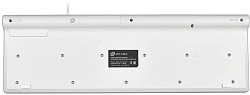 Клавиатура Оклик 490ML белый USB slim Multimedia LED