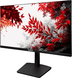 Монитор RDW Computers 31.5" RDW3207 черный IPS 1ms HDMI M/M HAS Piv 350cd 178гр/178гр 2560x1440 100Hz VGA DP QHD USB (RUS)