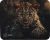 Коврик для мыши Cactus Leopard рисунок 250x200x3мм (CS-MP-D06S) Коврик для мыши Cactus Leopard рисунок 250x200x3мм (CS-MP-D06S)