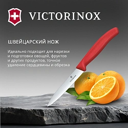 Нож кухонный Victorinox Swiss Classic 6.7701.C1 для овощей лезв.100мм прямая заточка красный