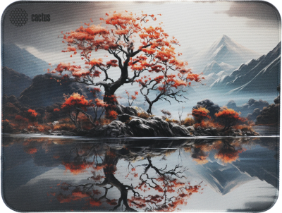 Коврик для мыши Cactus Lake рисунок 400x300x3мм (CS-MP-PRO18XL)