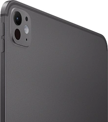 Планшет Apple iPad Pro 2025 A3357 M5 9C RAM12Gb ROM256Gb 11" OLED 2420x1668 iOS черный космос 12Mpix 12Mpix BT WiFi 10hr
