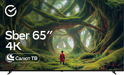 Телевизор LED Sber 65" SDX-65U4139 Салют ТВ Frameless черный 4K Ultra HD 60Hz DVB-T DVB-T2 DVB-C DVB-S DVB-S2 USB WiFi Smart TV