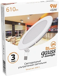 Светильник Gauss (939111109)