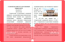 Папка-уголок Бюрократ -E570RED 2 внутр.карман A4 пластик 0.18мм красный