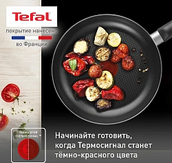 Сковорода Tefal Easy Plus 4237122 круглая 22см ручка несъемная (без крышки) черный (9100054094)