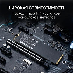 Накопитель SSD Digma PCIe 3.0 x4 256GB DGSM3256GS33T Mega S3 M.2 2280