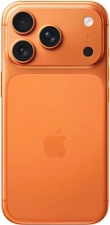 Смартфон Apple A3523 iPhone 17 Pro 256Gb оранжевый моноблок 3G 4G 1Sim 6.3" 1206x2622 iOS 26 48Mpix 802.11 a/b/g/n/ac/ax/be NFC GPS Protect