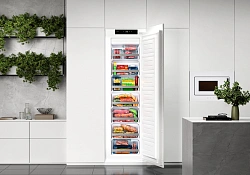 Freezer Lex LBI177.4ID