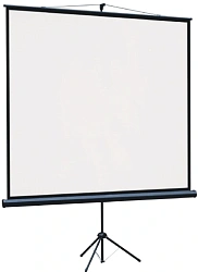 Экран Lumien 84" 110x192см Eco Picture LEV-100113 16:9 напольный натяжной белый