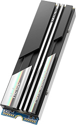 Накопитель SSD Netac PCIe 4.0 x4 1TB NT01NV5000-1T0-E4X NV5000 M.2 2280