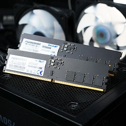 Память DDR5 32GB 6400MHz Patriot PSD532G6402C Signature RTL PC5-51200 CL52 DIMM 288-pin 1.1В dual rank Ret