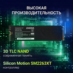 Накопитель SSD Digma PCIe 3.0 x4 256GB DGSM3256GS33T Mega S3 M.2 2280