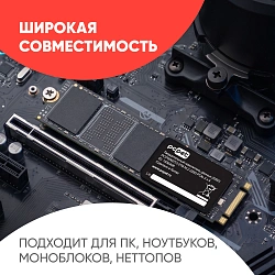 Накопитель SSD PC Pet PCIe 3.0 x4 2TB PCPS002T3 M.2 2280 OEM