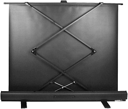 Экран Cactus 113x200см FloorExpert CS-PSFLE-200X113 16:9 напольный рулонный