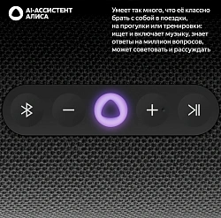 Умная колонка Yandex Стрит Алиса черный 30W 2.0 BT/Wi-Fi 10м 3300mAh (YNDX-00030BLK)