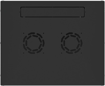 Шкаф коммутационный NTSS Lime (NTSS-WL9U5560GS-BL) настенный 9U 550x600мм пер.дв.стекл несъемн.бок.пан. 30кг черный 500мм 15кг 110град. 500мм IP20 сталь