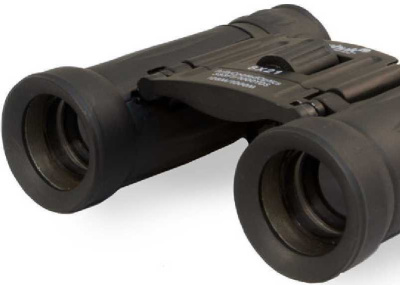 Бинокль Levenhuk 8-8x 21мм Atom 8x21 черный (67675)