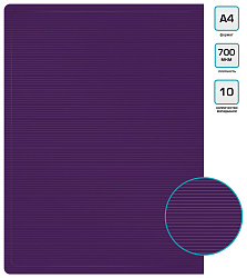 Папка с 10 прозр.вклад. Бюрократ DeLuxe DLV10BBERRY A4 пластик 0.7мм черничный