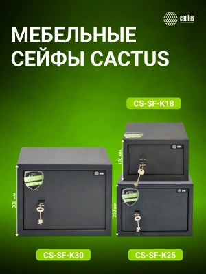 Сейф мебельный Cactus CS-SF-K30 взломостойкий 300x380x300мм ключевой