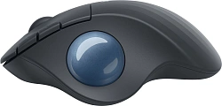 Трекбол Logitech Ergo M575 графитовый оптическая 2000dpi беспров. BT/Radio USB 4but (910-005873)