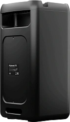 Колонка порт. Ural Молния 111 черный 40W 2.0 BT/3.5Jack/USB 1500mAh (МОЛНИЯ 111)