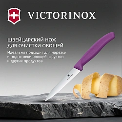 Нож кухонный Victorinox Swiss Classic (6.7735.C1) для чистки овощей и фруктов лезв.100мм серрейт. заточка пурпурный