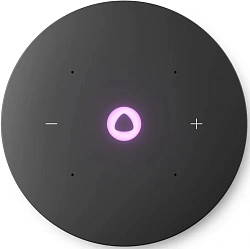 Умная колонка Yandex Станция Мини 3 Про Алиса синий 18W 2.0 BT/Wi-Fi (YNDX-00059BLU)