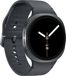 Смарт-часы Samsung Galaxy Watch 8 1.47" Super AMOLED корп.графитовый рем.графитовый (SM-L330NDAALTA)