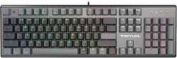 Клавиатура A4Tech Fstyler FS100 Neon механическая черный USB for gamer LED (FS100) кабель 1.8м