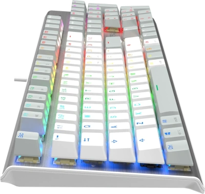 Клавиатура A4Tech Fstyler FS100 Neon механическая серый USB for gamer LED (FS100)