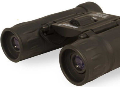 Бинокль Levenhuk 8-8x 21мм Atom 8x21 черный (67675)