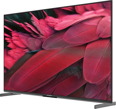 Телевизор OLED Skyworth 55" 55X85G Magic Sound Karaoke TV Frameless черный/черный 4K Ultra HD 120Hz DVB-T DVB-T2 DVB-C DVB-S DVB-S2 USB WiFi Smart TV