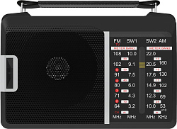 Радиоприемник портативный Ritmix RPR-190 черный